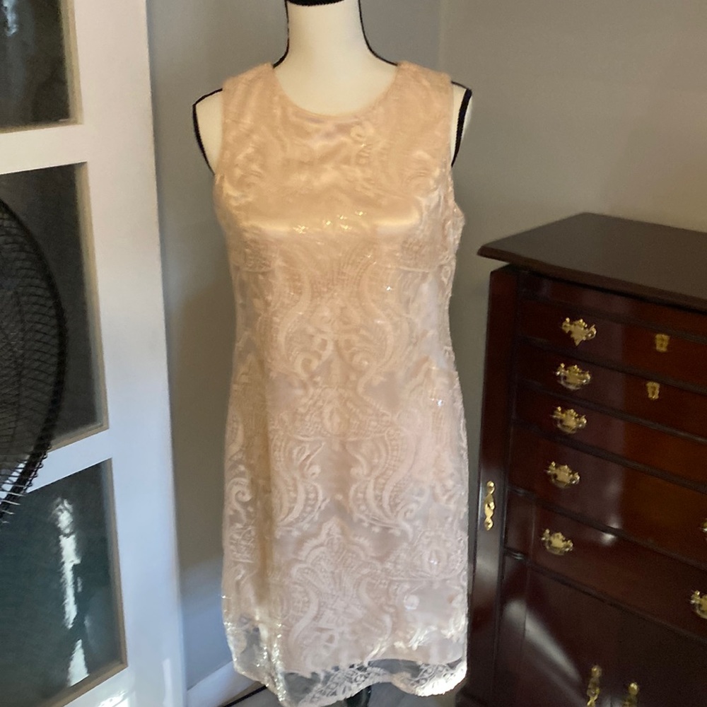 Tylor Peach Color Lace Dress. Has Sparkles for shine. Never worn.